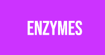 Enzymes
