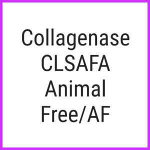 Collagenase CLSAFA Animal FreeAF