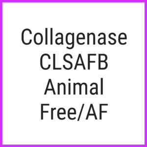 Collagenase CLSAFB Animal FreeAF