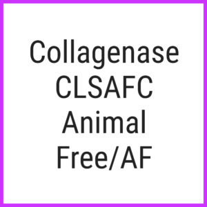 Collagenase CLSAFC Animal FreeAF