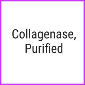 Collagenase, Purified