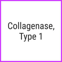 Collagenase, Type 1