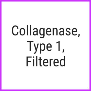 Collagenase, Type 1, Filtered