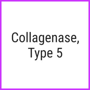 Collagenase, Type 5