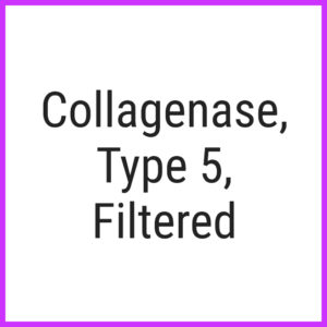 Collagenase, Type 5, Filtered