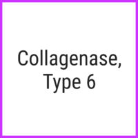 Collagenase, Type 6