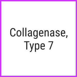 Collagenase, Type 7