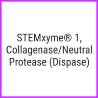 STEMxyme® 1, CollagenaseNeutral Protease (Dispase)