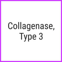 collagenase type 3