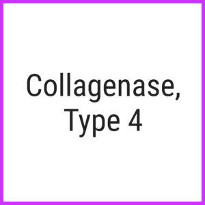 collagenase type four